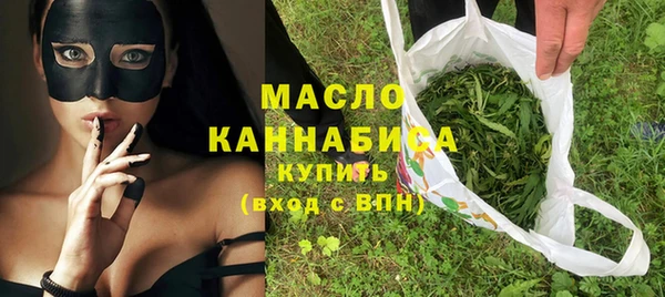 индика Рославль