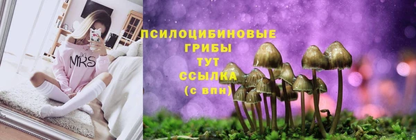гидра Алзамай