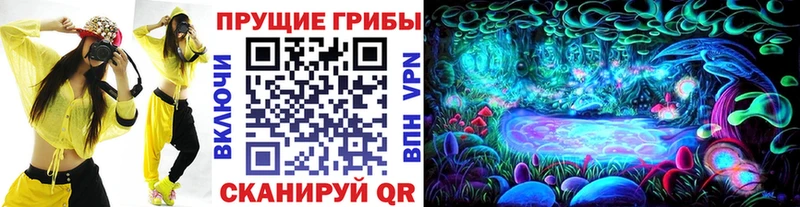 Псилоцибиновые грибы MAGIC MUSHROOMS  Звенигово 